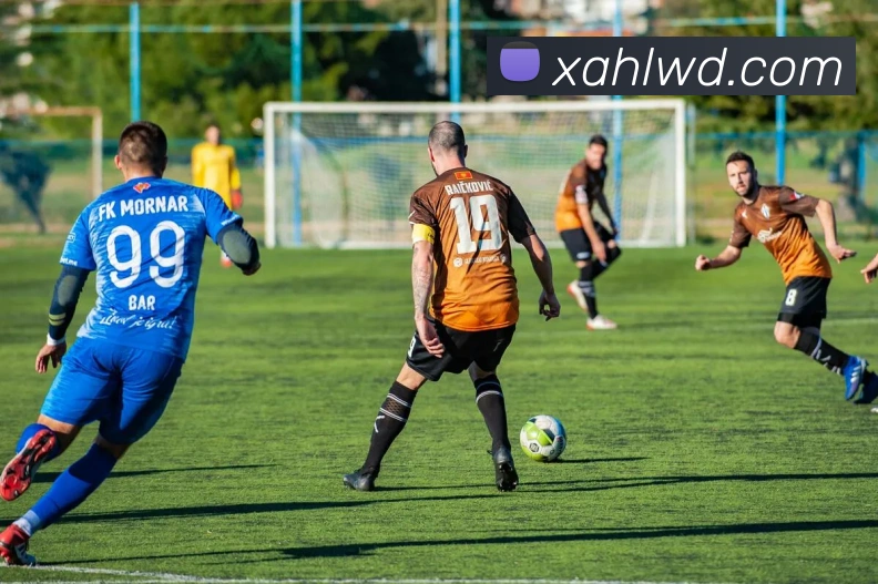 问鼎娱乐服务体系